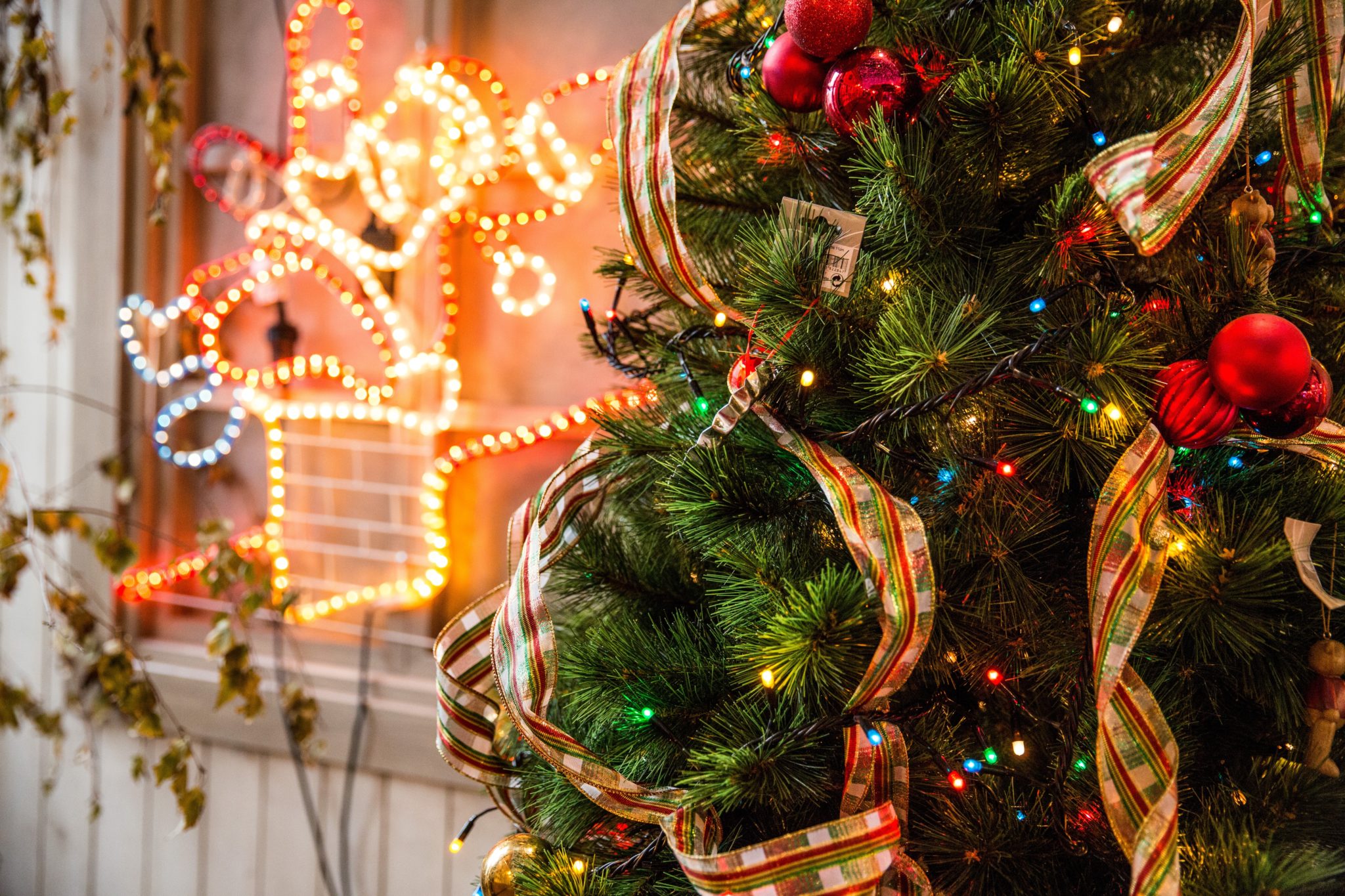 3 Benefits of Decorating Your Business for Christmas ArborLawn