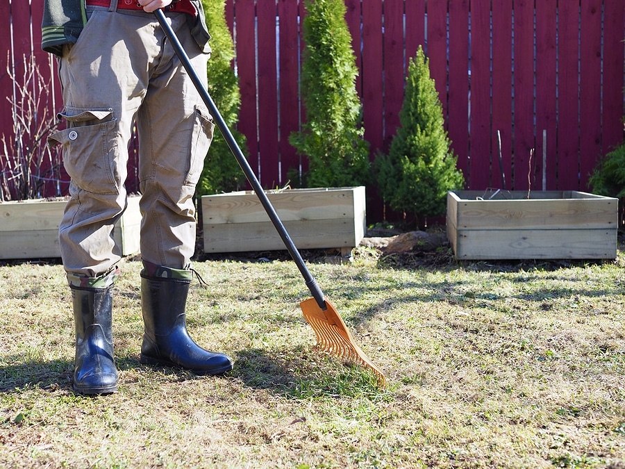 3 Reasons Your Lawn Isn't Bouncing Back this Fall