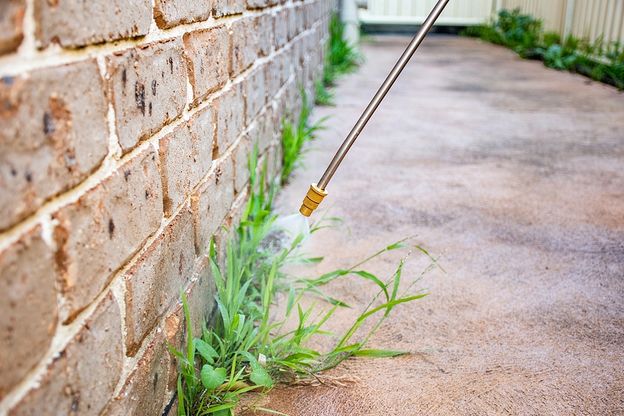 Weeds are a common problem for gardeners and homeowners alike. There are many methods of weed control, but one of the most popular is a pre-emergent herbicide. This type of herbicide kills weeds before they even have a chance to grow! However, there are many myths about pre-emergent and spring weed control. ArborLawn is here to dispel some of these myths and give you the facts about your spring fertilization!  Myth: Pre-Emergent Herbicides Kill All Weeds  One of the most common myths about pre-emergent weed control is that it will prevent all weeds from growing. While pre-emergent herbicides can be effective at preventing certain types of weeds, they are not a panacea. There are many different types of weed seeds, and not all of them are susceptible to pre-emergent herbicides.   Myth: You Can Apply Pre-Emergent at Any Time  While weeds can be controlled throughout the year, pre-emergents only work early in the season. These solutions must be applied before weed seeds have a chance to germinate in the spring if you want them to be successful. Once weed seeds have germinated, pre-emergent herbicides will not be effective.   Fact: Pre-Emergents Will Not Kill Your Grass  Contrary to popular belief, pre-emergent herbicides will not kill your grass. Instead, they work by creating a barrier that prevents weed seeds from germinating. By treating your lawn early for weeds, you'll actually be promoting a healthier lawn and soil. That's because the grass won't be competing with weeds for nutrients and water.   Fact: Pre-Emergents Do Not Last  It's a common misconception that pre-emergent herbicides provide long-lasting weed control. In reality, most pre-emergents only last for 3-4 weeks before they start to break down. This is because they are designed to prevent weeds from germinating, not to kill existing weeds. Once the herbicide has degraded, newly germinated weeds will be able to take root. For this reason, it's important to reapply pre-emergent herbicides regularly. 