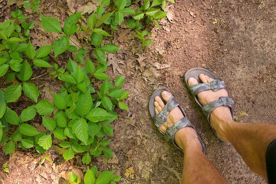 What to Do if You Come in Contact with Poison Ivy