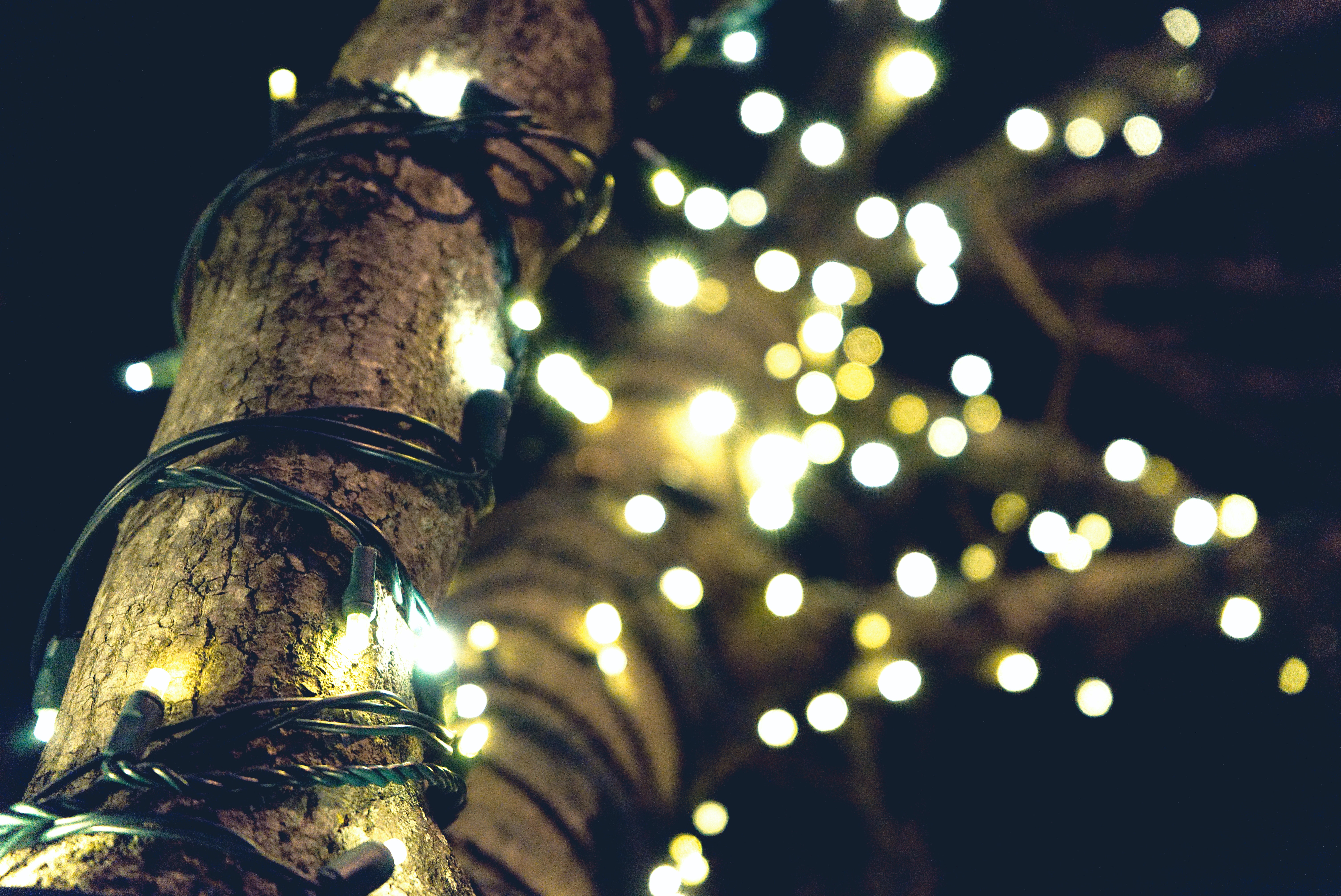 Why Hire a Professionals for Holiday Lighting