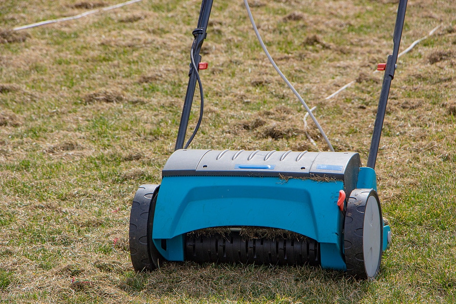 Why Late Summer is Best for Aeration